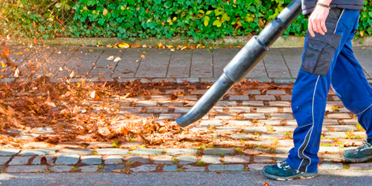 Sopladores de hojas inalámbricos soplador de hojas eléctrico inalámbrico de  mano en un jardín otoño trabajos de jardinería