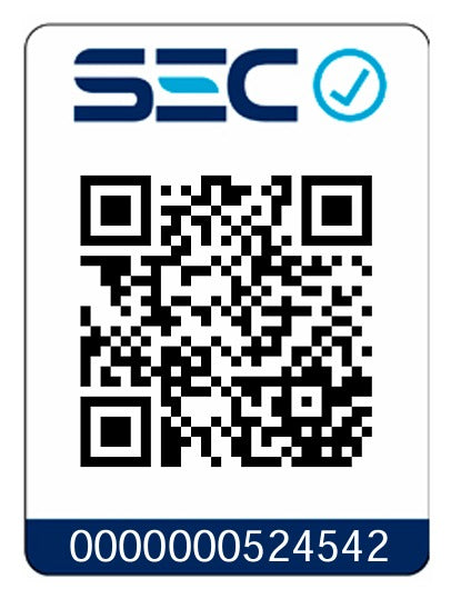 Pistola de Calor Eléctrica 2000W 600°C + 4 Accesorios