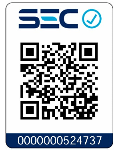 Combo Rotomartillo Inalámbrico 20V 1.5J + Accesorios