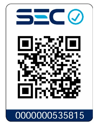 Combo Rotomartillo Inalámbrico SDS Plus 2.0J 20V+ Accesorios