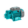 Bomba Periférica 550W 0.75HP Total | Potencia y Eficiencia
